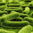 tuberculosis-daily-antibiotics-recommended-to-prevent-resistant-strains-orig-20151123 - Городская поликлиника №24