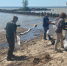 Более 60 мешков мусора собрали на берегу водохранилища - Газета Навигатор