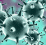 Virus2_thumb_main - Sibnovosti.ru