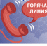 Психолог проконсультирует жителей региона в рамках Декады инвалидов - Сибирский репортер