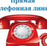 прямая телефонная линия - Администрация Новосибирского района