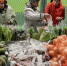 В Новосибирской области стабилизировалась ситуация с ценами на продукты и их наличием в магазинах - ГТРК Новосибирск
