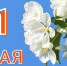 Поздравления к 1 мая - Законодательное собрание