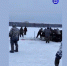 Под лёд ушли автомобили рыбаков на Обском море - Gorsite.Ru