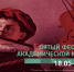 Необычный фестиваль академической музыки пройдёт в Новосибирске в пятый раз - Молодежный портал