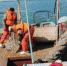 Жителей Новосибирской области спрашивают, какую рыбу они предпочитают - 4S-Info.Ru