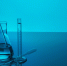 Под Новосибирском нашли пруд, где в 32 раза превышено ПДК нефтепродуктов - Gorsite.Ru