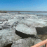 Под Новосибирском возможно подтопление из-за подъёма уровня воды – МЧС - Gorsite.Ru