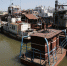 NET_1305.JPG - NSKNews.Info