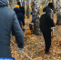 субботник.png - ГТРК Новосибирск