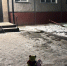 На месте гибели двухлетнего малыша в Новосибирске появился стихийный мемориалбенка вознит стихийный мемориал - InfoPro54.Ru