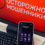 Жительница Новосибирска обманула троих барнаульцев на 200 тысяч рублей - Gorsite.Ru