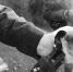 В Новосибирской области вахтовик застрелил мужчину из-за девушки - Сиб.фм
