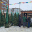 430 елей изъяли с незаконных елочных базаров в Новосибирске - КП-Новосибирск