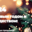 Поздравляем с наступающим Новым годом и Рождеством! - Рослесозащита Новосибирской области