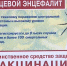 Жителей Новосибирска прививают от клещей – опасный сезон стартовал - Сиб.фм