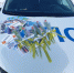 JPG Файл - ГУ МВД Новосибирской области