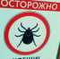 Под Новосибирском определили подрядчика для противоклещевой обработки - Сиб.фм