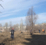 Общегородской субботник пройдет 19 апреля - Газета Навигатор