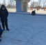 Специалисты из 30 районов Новосибирской области повысили квалификацию по приемке отремонтированных автодорог - Правительство Новосибирской области
