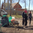 Экоактивисты Новосибирска устроили генеральную уборку леса в Дзержинском районе - 4S-Info.Ru