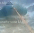 Новосибирец чуть не погиб на необитаемом острове в Обском море - Precedent.TV