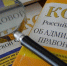 Экономист Коган назвал «микроскопическим» эффект от налога на бездельников - GlobalNSK.Ru