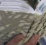 На дискуссию о сибирском панке приглашает фестиваль «Новая книга» - NSKNews.Info