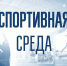 СПОРТИВНАЯ СРЕДА: СОРЕВНОВАНИЯ СПЕЦИАЛЬНОЙ ОЛИМПИАДЫ ПРОЙДУТ В НОВОСИБИРСКЕ - Управление физкультуры и спорта г. Новосибирска
