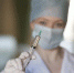 Новосибирскую область полностью обеспечили вакциной от бешенства - КП-Новосибирск