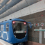 В новосибирском метро ввели бесплатный проезд за чтение стихов Пушкина - Precedent.TV