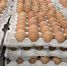 В Алтайском крае выросло производство продукции птицеводства - 4S-Info.Ru