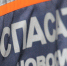 Новосибирские спасатели достали кошку из электрощитка - NSKNews.Info