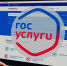 Получение налоговых уведомлений через портал госуслуг выбрали более 173 тысяч новосибирцев - УФНС по Новосибирской области