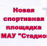 БОЛЬШЕ ПЛОЩАДОК - БОЛЬШЕ СПОРТА В РОДНОМ ГОРОДЕ! - Управление физкультуры и спорта г. Новосибирска