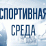 СПОРТИВНАЯ СРЕДА: НОВОСИБИРСК ГОТОВИТСЯ ОТМЕТИТЬ ДЕНЬ ФИЗКУЛЬТУРНИКА - Управление физкультуры и спорта г. Новосибирска