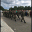 В Тверской области вспоминают воинов-сибиряков, погибших в годы Великой Отечественной войны - Правительство Новосибирской области