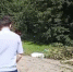 В городе Новосибирска следователи СК устанавливают обстоятельства травмирования жителей области в результате падения дерева - Следственный комитет