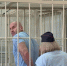 Главу «Корпорации развития Новосибирской области» Зырянова судят за взятки: онлайн - Сиб.фм
