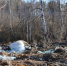 За первое полугодие в Новосибирской области обнаружили 57 несанкционированных свалок - Сиб.фм
