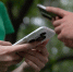 Ивушка и дорога до Куйбышева попали в зону 4G - КП-Новосибирск