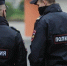 Полиция заинтересовалась нападением собак на девушку и ее шпица в Новосибирске - КП-Новосибирск