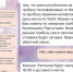 Новосибирскую блогершу, пытавшуюся подарить сыну футбольные билеты, обманули на четверть миллиона - Новая Сибирь