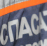 Спасатели пристроили в приют собаку внезапно умершего новосибирца - NSKNews.Info