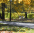 17 сентября в Новосибирске по-прежнему будет тепло - КП-Новосибирск