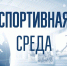 СПОРТИВНАЯ СРЕДА: МАССОВЫЙ ЗАБЕГ «КРОСС НАЦИИ» ПРОЙДЁТ В НОВОСИБИРСКЕ - Управление физкультуры и спорта г. Новосибирска