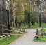 После пожара в Новосибирском зоопарке активизировались аферисты - Сиб.фм