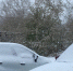 Синоптики рассказали, почему не тает выпавший в Новосибирской области первый снег - Gorsite.Ru