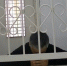 В Новосибирске осудят еще одного обвиняемого в убийстве целой семьи в 2014 году - ГТРК Новосибирск
