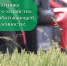 День работника сельского хозяйства и перерабатывающей промышленности - Законодательное собрание